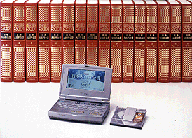 DD-S1000