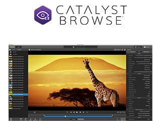 Catalyst Browse
