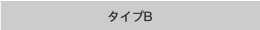 �^�C�vB