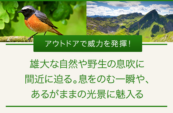 �A�E�g�h�A�ňЗ͂𔭊��I�Y��Ȏ��R��쐶�̑����Ɋԋ߂ɔ���B�����̂ވ�u��A���邪�܂܂̌��i�ɖ�����
