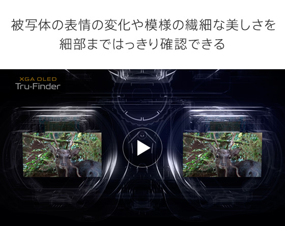����I�u�Ԃ⊴���̃V�[�����B��̂������A�Տꊴ���ӂ�鍂�𑜓x�ŋL�^