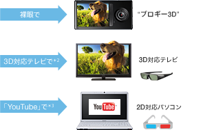 本体液晶はもちろん、さまざまな機器で3D映像を楽しめる