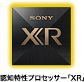 XR(�G�b�N�X�A�[��)