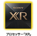 XR(�G�b�N�X�A�[��)