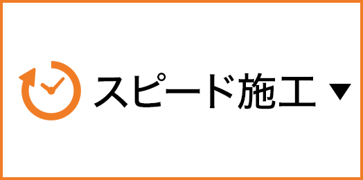 �X�s�[�h�{�H