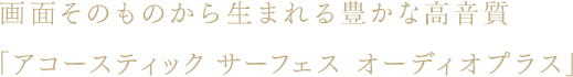 ��ʂ��̂��̂��琶�܂��L���ȍ������u�A�R�[�X�e�B�b�N�@�T�[�t�F�X�@�I�[�f�B�I�v���X�v