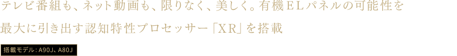 テレビ番組も、ネット動画も、限りなく、美しく。有機ELパネルの可能性を最大に引き出す認知特性プロセッサー「XR」を搭載