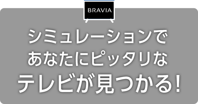 �V�~�����[�V�����ł��Ȃ��Ƀs�b�^���ȃe���r��������I