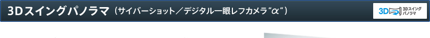 3Dスイングパノラマ