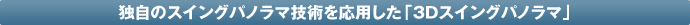 �Ǝ��̃X�C���O�p�m���}�Z�p�����p�����u3D�X�C���O�p�m���}�v