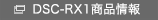 DSC-RX1 ���i���