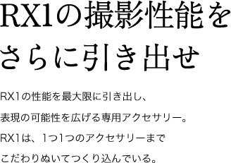 RX1�̎B�e���\������Ɉ����o��
