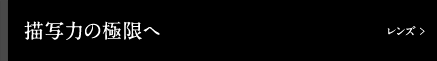 �����Y