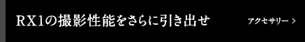 �A�N�Z�T���[