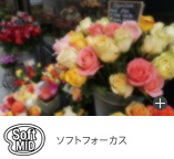 �\�t�g�t�H�[�J�X�i��/��/��j