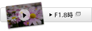 F1.8��