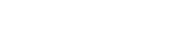 Voice 02 RX1
