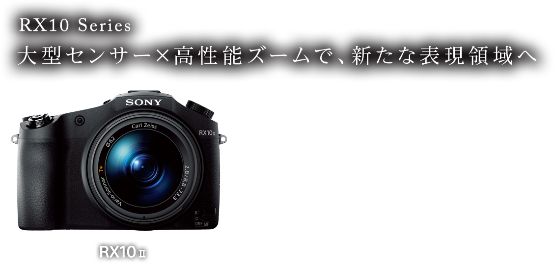 RX10 Series