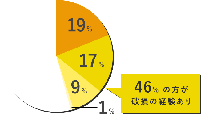データの破損:19%、カード自体の破損:17%、カメラで認識しない:9%、その他:1%、経験なし:残り