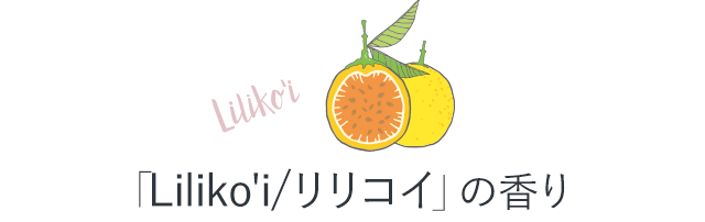 �uLiliko'i/�����R�C�v�̍���