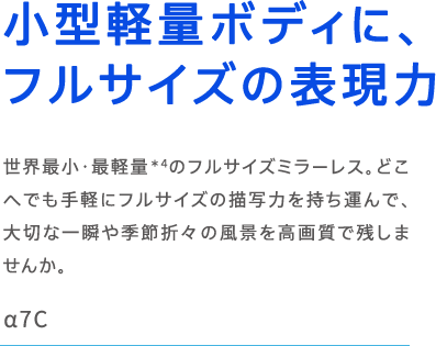 ��7C ���^�y�ʃ{�f�B�ɁA�t���T�C�Y�̕\���� ���E�ŏ��E�Ōy�ʁ�4�̃t���T�C�Y�~���[���X�B�ǂ��ւł���y�Ƀt���T�C�Y�̕`�ʗ͂������^��ŁA��؂Ȉ�u��G�ߐ܁X�̕��i�����掿�Ŏc���܂��񂩁B