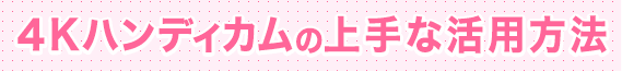4K�n���f�B�J���̏��Ȋ��p���@