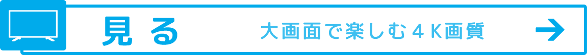 �y����z ���ʂŊy����4K�掿