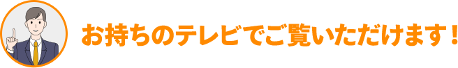 お持ちのテレビでご覧いただけます!