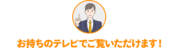 お持ちのテレビでご覧いただけます!