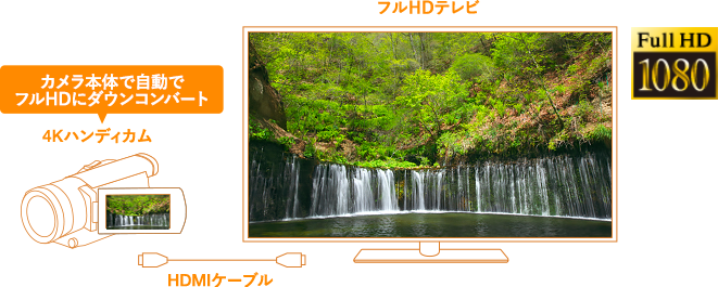 お持ちのテレビでご覧いただけます!