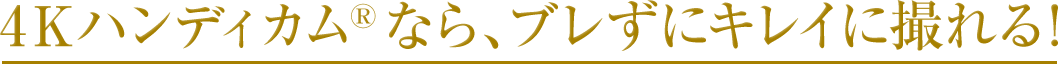 �\�j�[�̂SK�n���f�B�J��&reg;�Ȃ�u�����ɃL���C�I