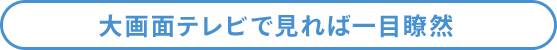 大画面テレビで見れば一目瞭然