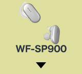 �A�N�e�B�u���C�����X WF-SP900 �ڂ����͂�����