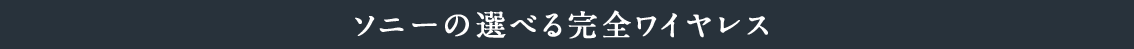 �\�j�[�̑I�ׂ銮�S���C�����X