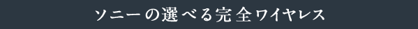 �\�j�[�̑I�ׂ銮�S���C�����X