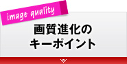 �掿�i���̃L�[�|�C���g