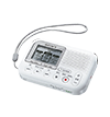 LX31