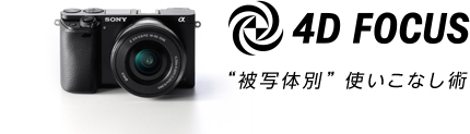 4D FOCUS | �g��ʑ̕ʁh�g�����Ȃ��p