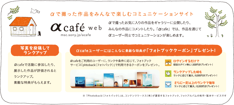 ��cafe web