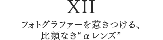 XII �t�H�g�O���t�@�[���䂫����A ��ނȂ��g�������Y�h