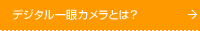 �f�W�^�����J�����Ƃ́H