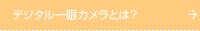 �f�W�^�����J�����Ƃ́H