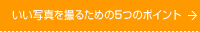 �����ʐ^���B�邽�߂�5�̃|�C���g