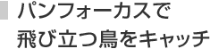 �p���t�H�[�J�X�Ŕ�ї������L���b�`