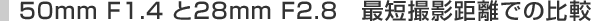 50mm F1.4 ��28���� F2.8�@�ŒZ�B�e�����ł̔�r