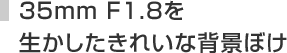 �R�T���� �e1�D8��
�����������ꂢ�Ȕw�i�ڂ�
