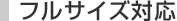 �t���T�C�Y�Ή�