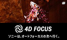 4D FOCUS