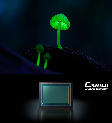 ��7S �uExmor�i�G�N�X���A�j�vCMOS�Z���T�[