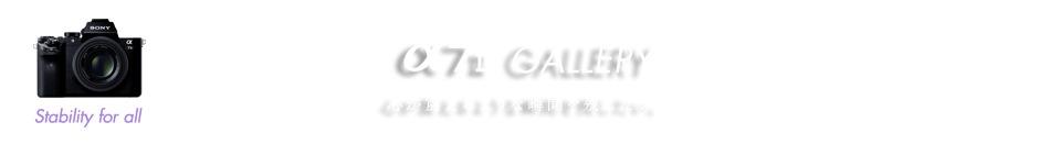 ��7 II GALLERY